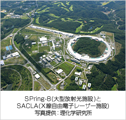 SPring-8(大型放射光施設)とSACLA(Ｘ線自由電子レーザー施設)写真提供：理化学研究所